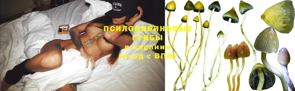 сатива Гусь-Хрустальный