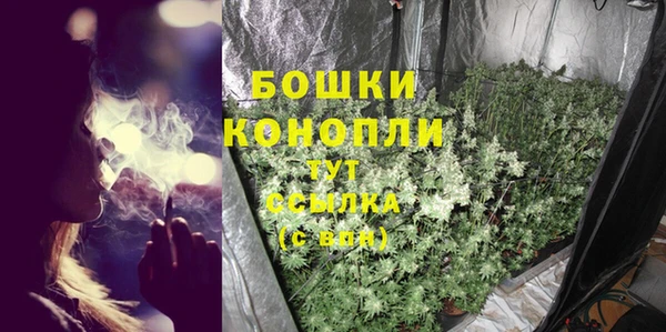 прущая мука Гусиноозёрск