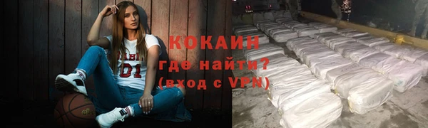 сатива Гусь-Хрустальный