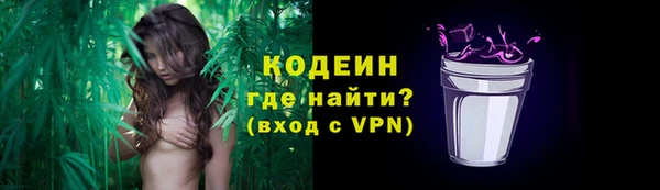 сатива Гусь-Хрустальный