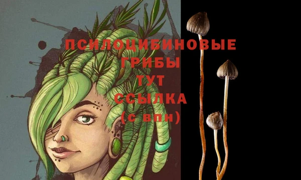 прущая мука Гусиноозёрск