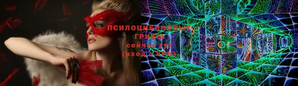 сатива Гусь-Хрустальный