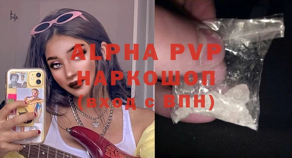 сатива Гусь-Хрустальный