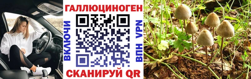 Галлюциногенные грибы Magic Shrooms  Каспийск 